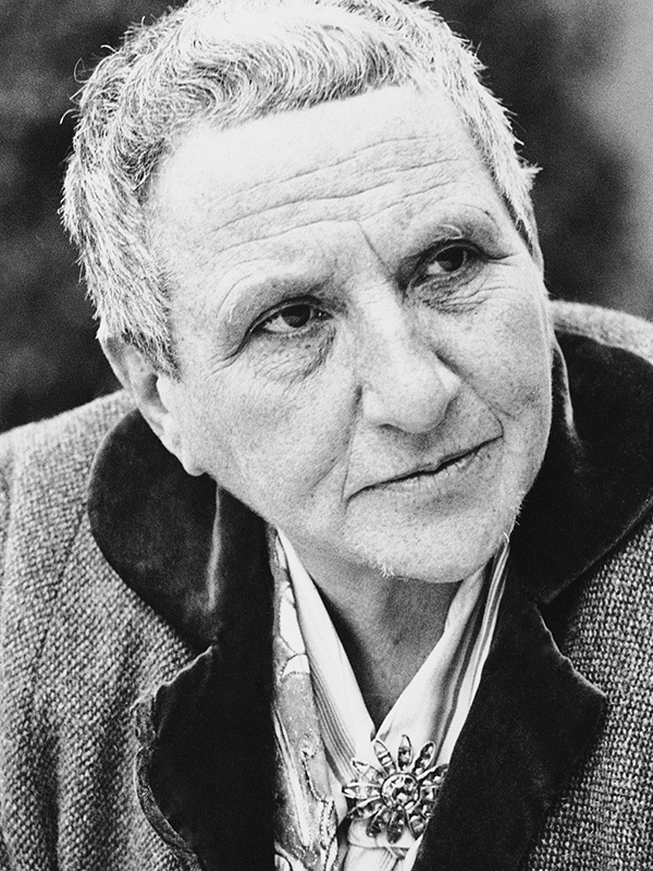 Gertrude Stein Resmi
