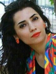 Gülpınar Tokat Resmi