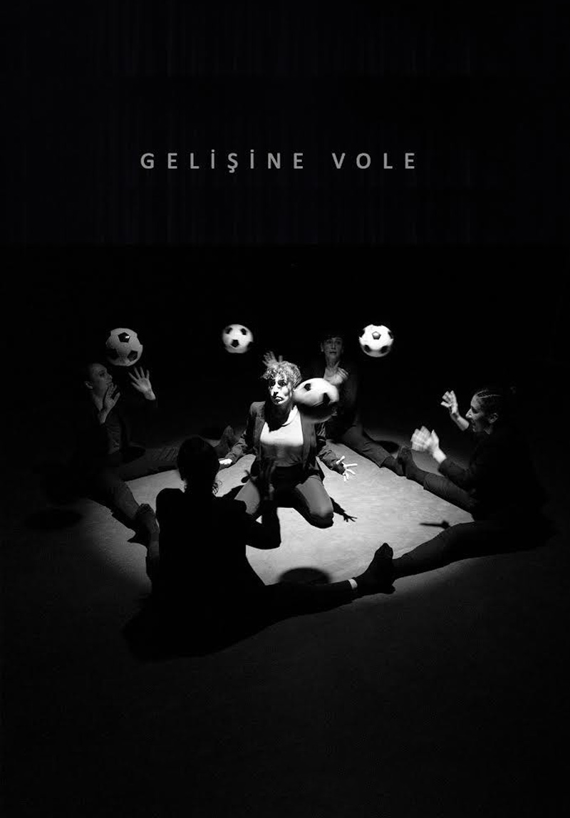 Gelişine Vole Poster