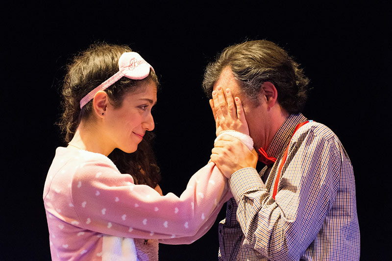 Vişne Bahçesi Resmi 2