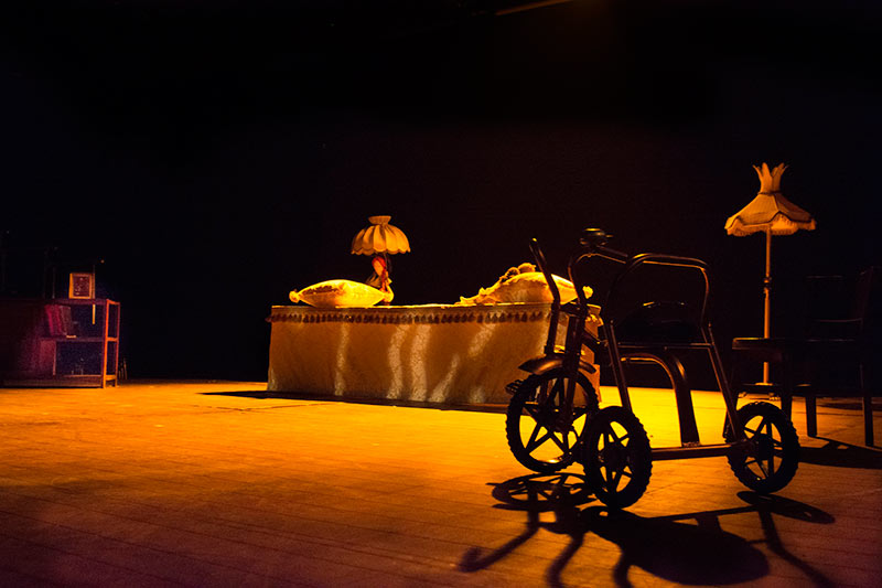 Vişne Bahçesi Galeri 5