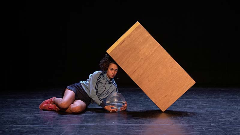 Waiting for the Fishes Resmi 2